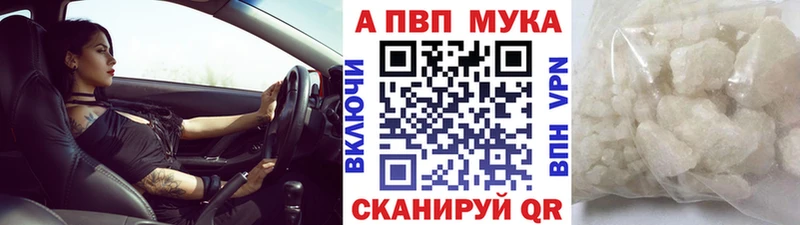 A PVP СК КРИС Искитим