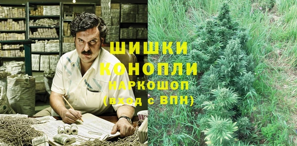 apvp Гусиноозёрск