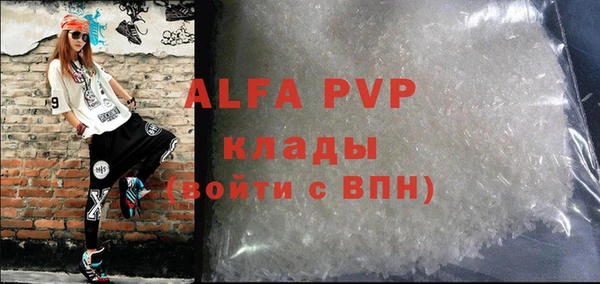 apvp Гусиноозёрск