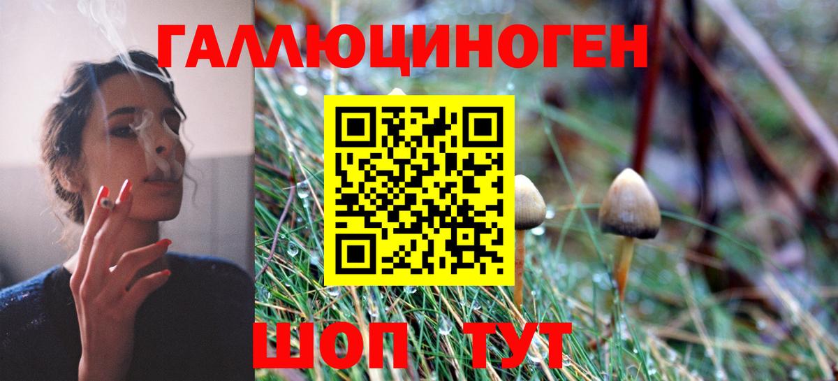 Псилоцибиновые грибы MAGIC MUSHROOMS  Вход с VPN  купить наркотик  Искитим 