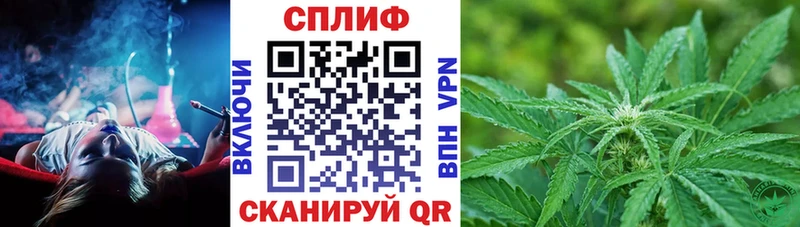 наркота  darknet как зайти  Бошки Шишки MAZAR  Искитим 